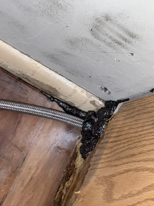 Charm City Pest Control Solutions LLC Picture 9