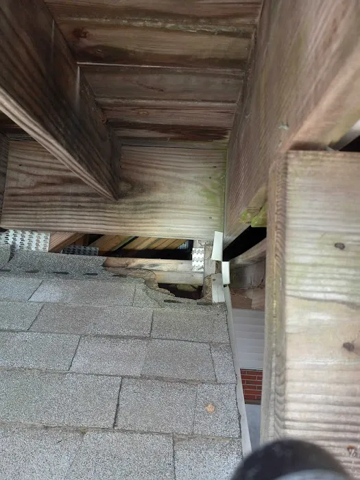 Black Tie Termite & Pest Control Picture 2