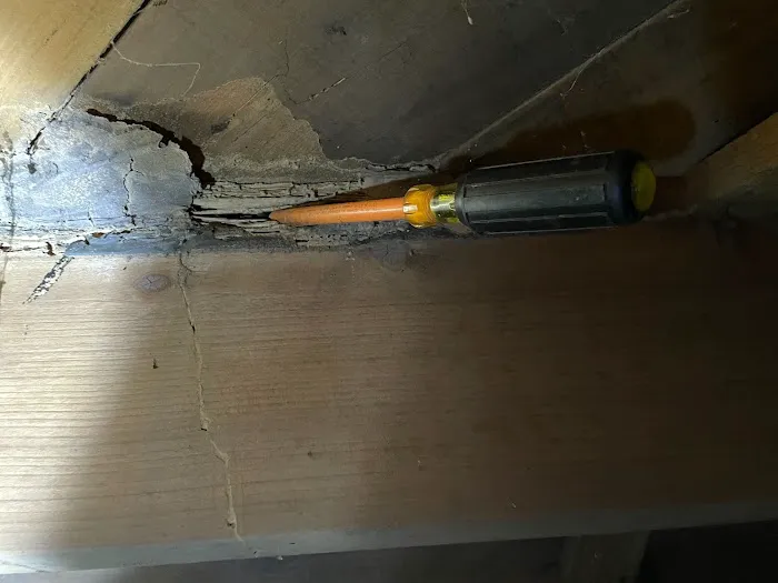 Black Tie Termite & Pest Control Picture 10