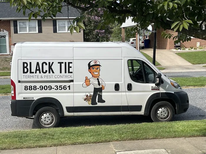 Black Tie Termite & Pest Control Picture 1