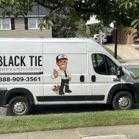 Black Tie Termite & Pest Control ico