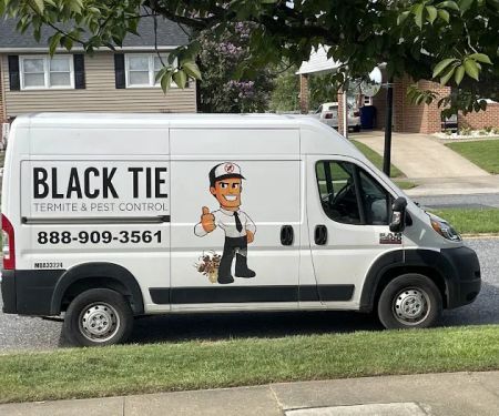 Black Tie Termite & Pest Control