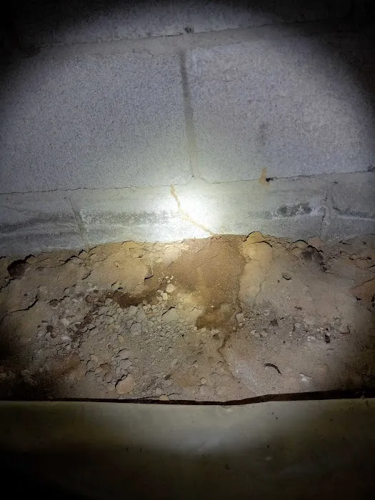 Black Tie Termite & Pest Control Picture 8