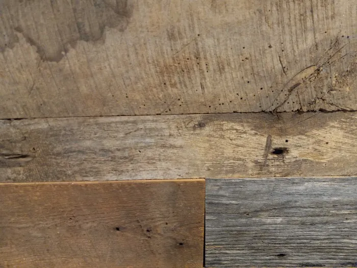 Black Tie Termite & Pest Control Picture 9