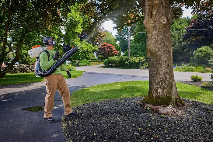 Mosquito Squad of Baltimore Picture 6