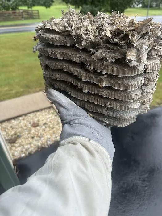 Hershey Termite and Pest Control Picture 1