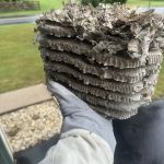 Hershey Termite and Pest Control