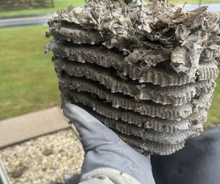 Hershey Termite and Pest Control