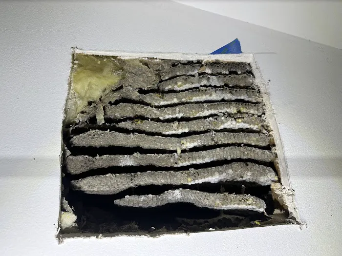 Hershey Termite and Pest Control Picture 10