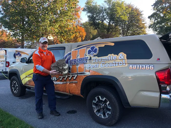 Hershey Termite and Pest Control Picture 7