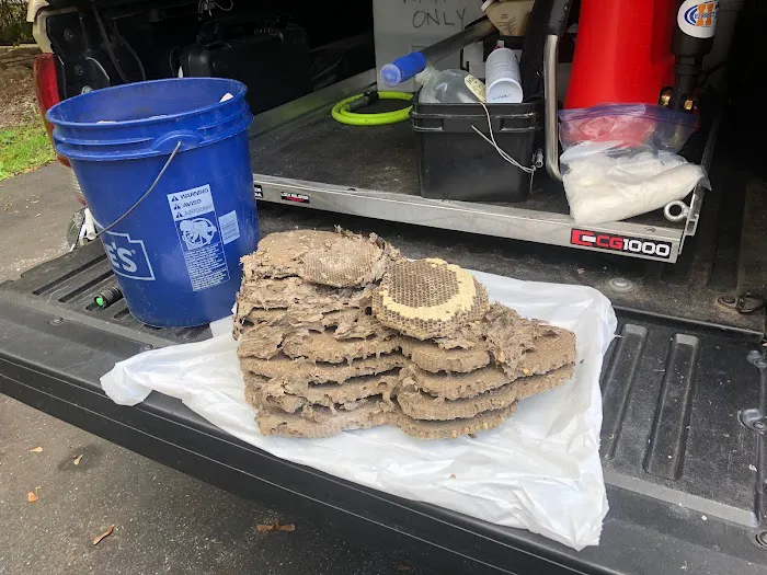 Hershey Termite and Pest Control Picture 9