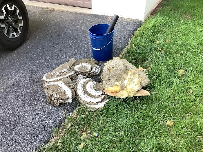 Hershey Termite and Pest Control Picture 3