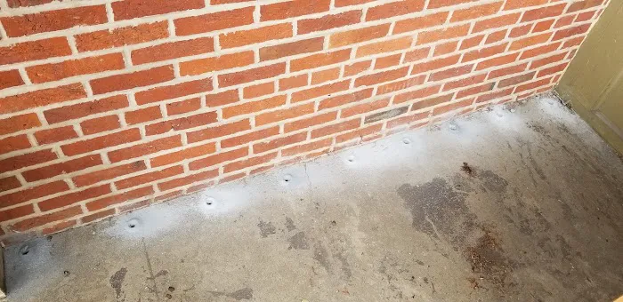 All American Termite & Pest Control Picture 2