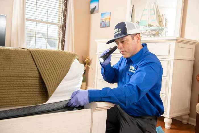 Akita Pest Control Picture 7