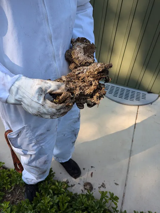 Fox Pest Control York Picture 4