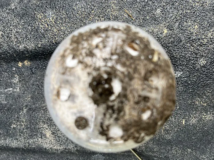 Advantage Termite & Pest Control L.L.C. Picture 1