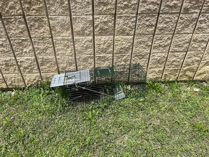 Advantage Termite & Pest Control L.L.C. Picture 2