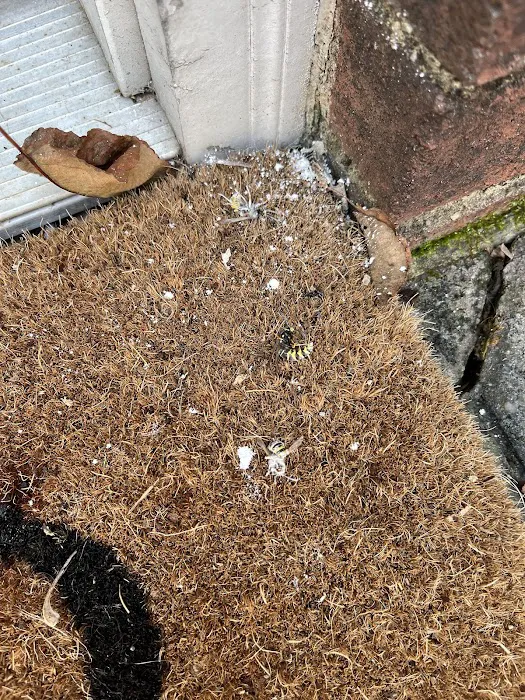 Advantage Termite & Pest Control L.L.C. Picture 3