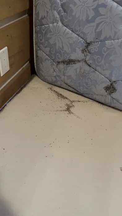 Sudden Death Termite & Pest Control, LLC Picture 7