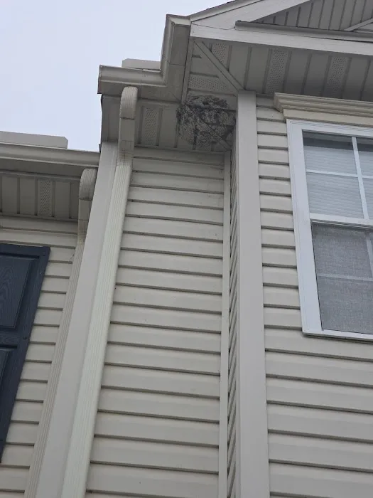 Greenix Pest Control Picture 4