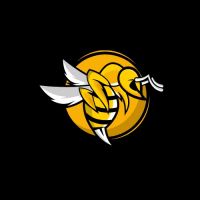 Bee Krazy LLC ico