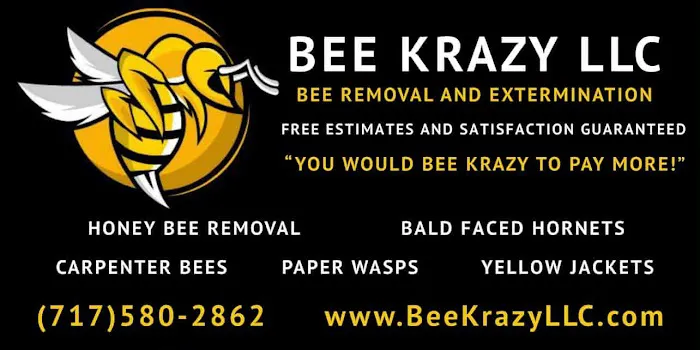 Bee Krazy LLC Picture 2