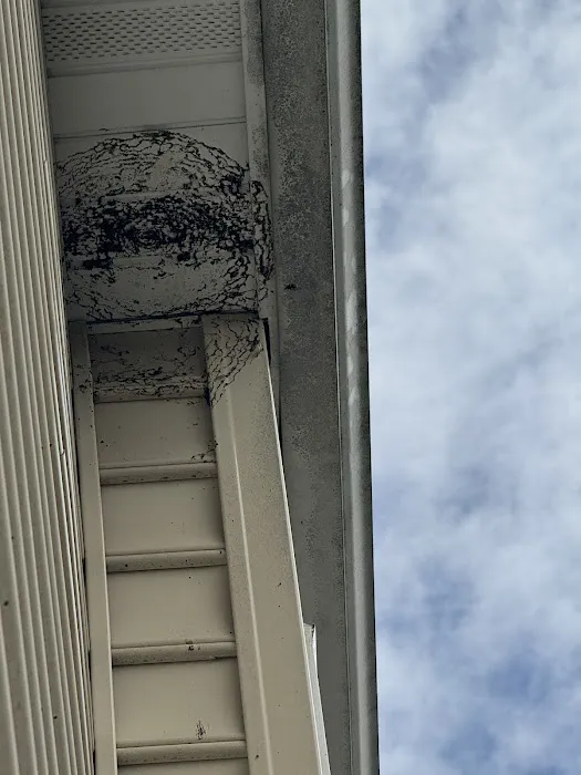 Pure Pest Services LLC Picture 3