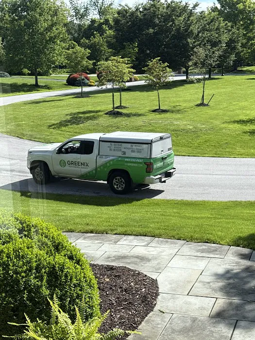Greenix Pest Control Picture 3