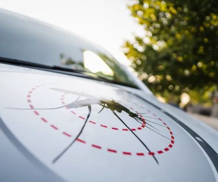 Mosquito Shield of Southern DE
