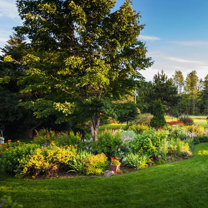 Lawns Unlimited Ltd Picture 4
