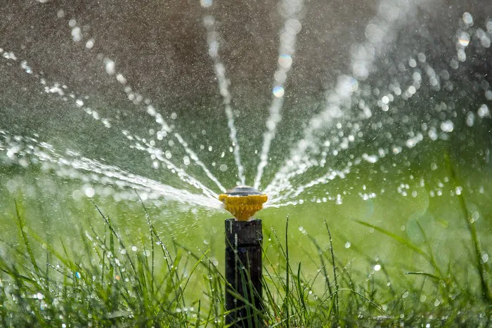 Lawns Unlimited Ltd Picture 1