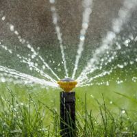 Lawns Unlimited Ltd ico