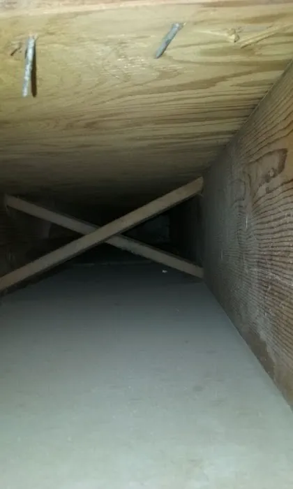 NAP Air Duct & Dryer Vent Cleaning And Pest Control service Of DE Picture 4