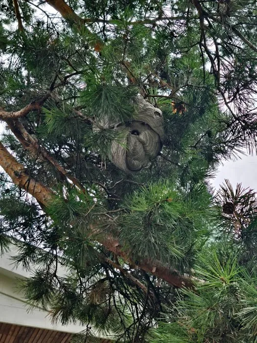 NAP Air Duct & Dryer Vent Cleaning And Pest Control service Of DE Picture 2