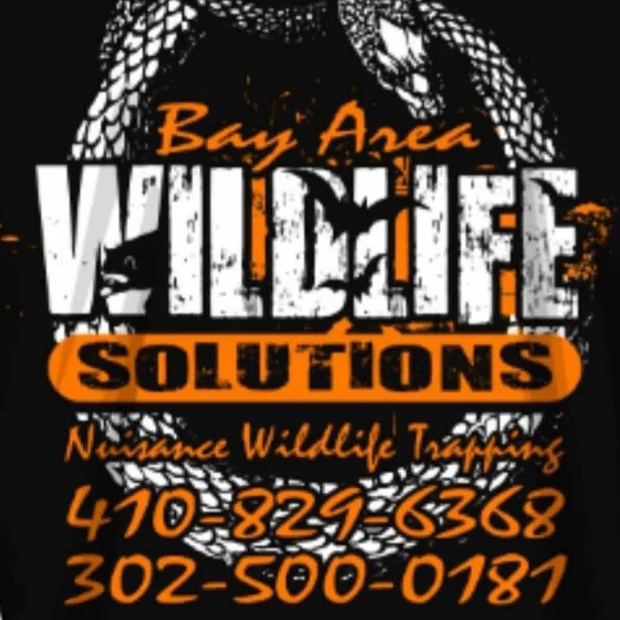 Bay Area Wildlife Solutions Picture 4