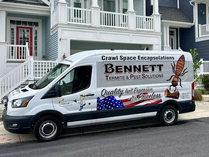 Bennett Termite & Pest Solutions Picture 1
