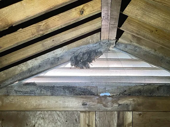 Bay Area Wildlife Solutions Picture 2