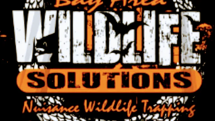 Bay Area Wildlife Solutions Picture 3