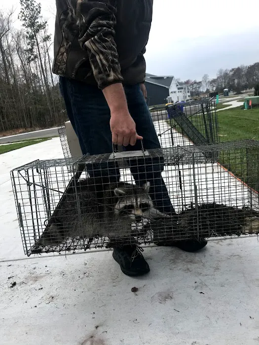 Bay Area Wildlife Solutions Picture 9