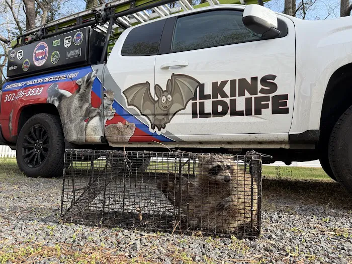 Wilkins Wildlife & BedBug 911 Picture 6