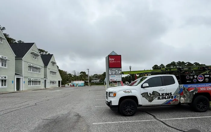 Wilkins Wildlife & BedBug 911 Picture 2