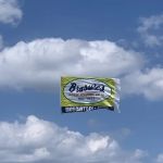 Brasure's Pest Control