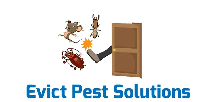 Evict Pest Solutions, LLC Picture 1