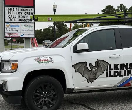 Wilkins Wildlife & BedBug 911