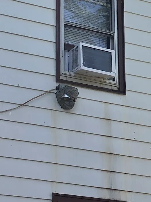 Logan Pest Solutions Picture 2