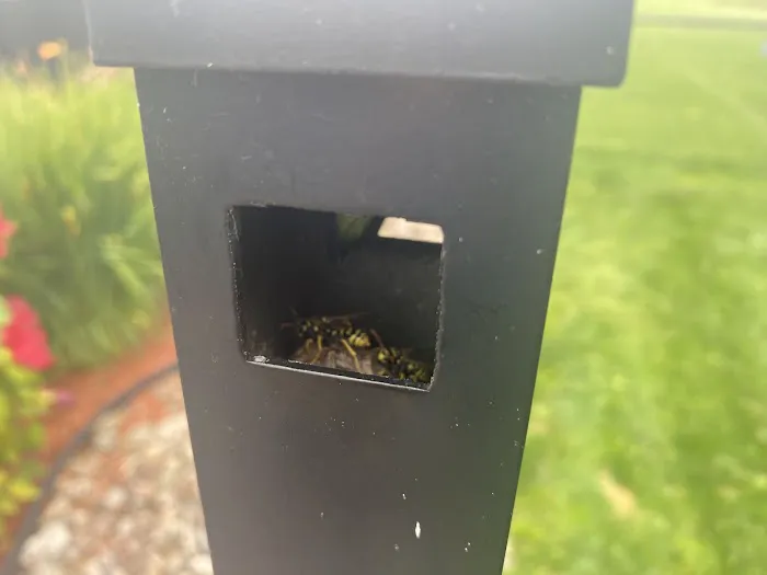 Logan Pest Solutions Picture 7