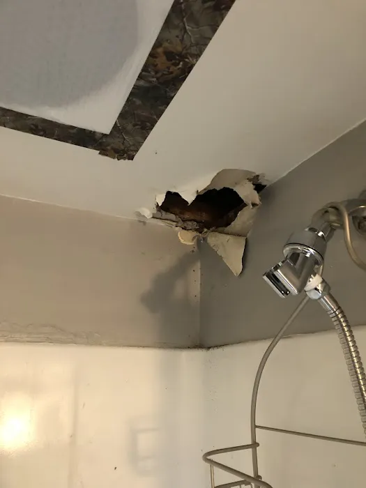 Logan Pest Solutions Picture 3