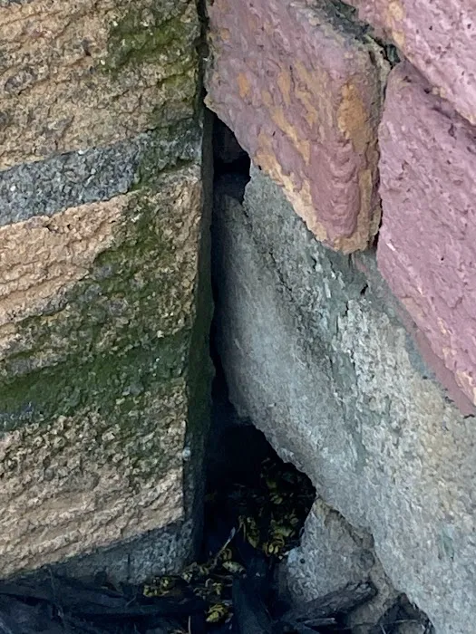 Logan Pest Solutions Picture 9