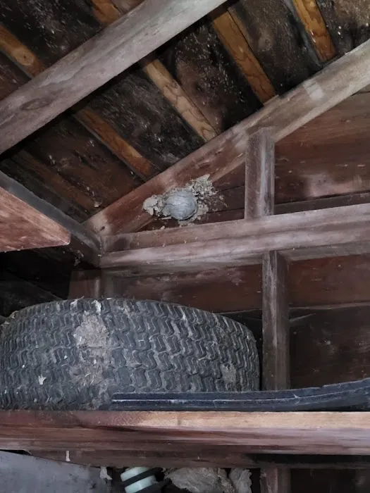 Homestead Pest Control Picture 4