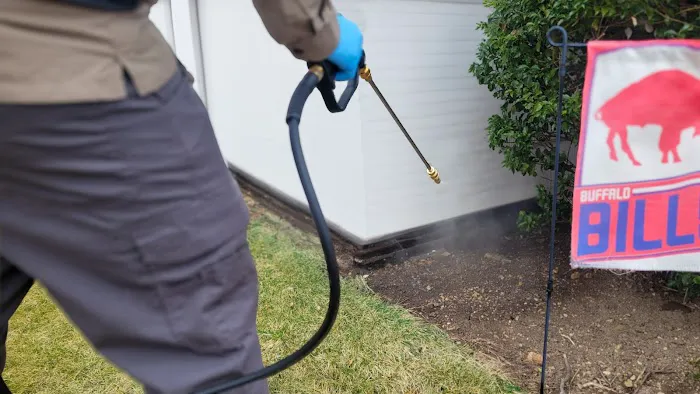 Homestead Pest Control Picture 5